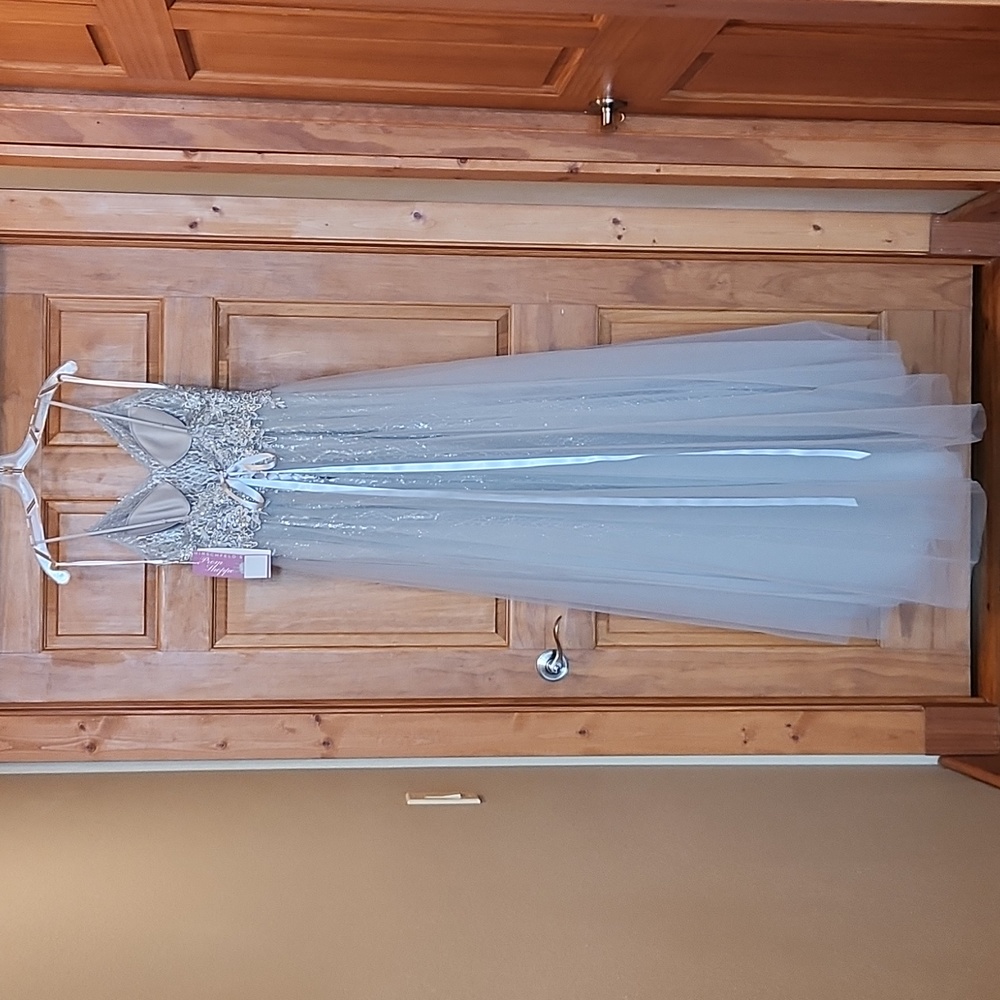 Alyce Paris Silver Formal Dress - Picture 14 of 14